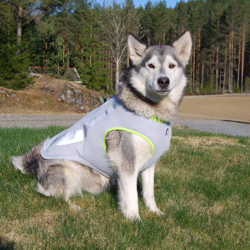 Dog Cooling Vest Summer Evaporative Harness Cooler Reflective Jacket with Cold Pack