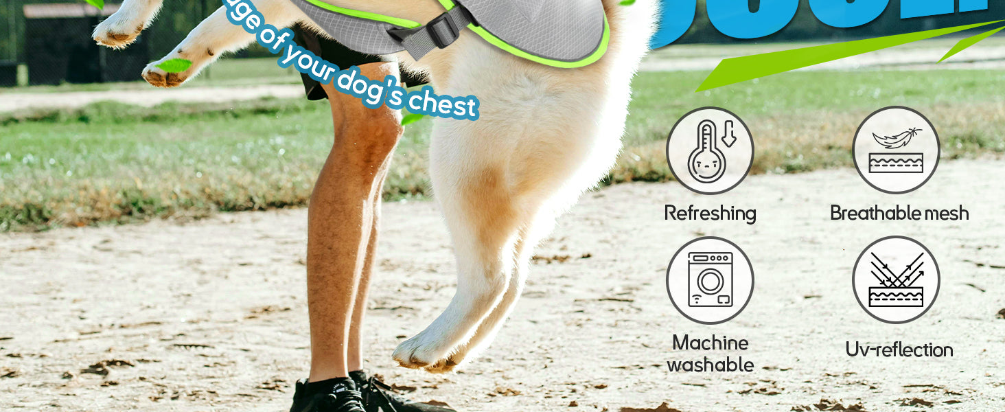Dog Cooling Vest with Ice Packs Banner 2
